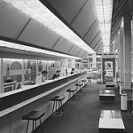 3607832330_9752ee1f69_m