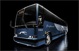 Greyhound