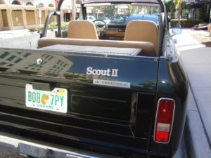 international Scout II (2)