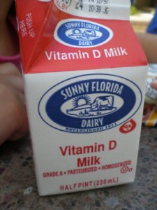 Sunny Florida Dairy